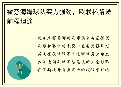 霍芬海姆球队实力强劲，欧联杯路途前程坦途